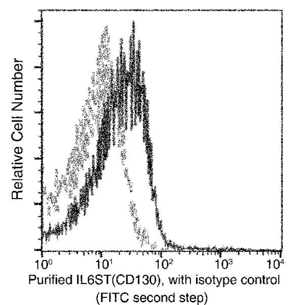 GP130 Antibody in Flow Cytometry (Flow)