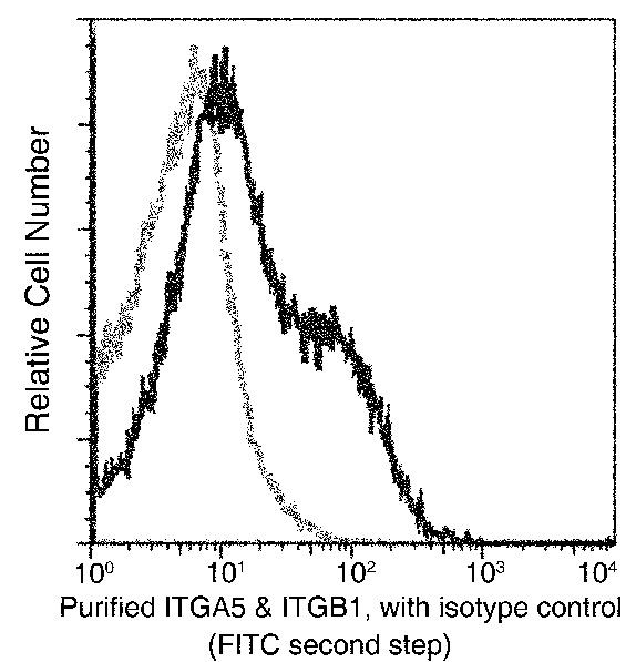 ITGA5/ITGB1 Antibody in Flow Cytometry (Flow)