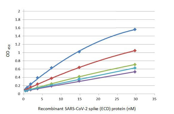 SARS-CoV-2 Spike Protein S1 Antibody in ELISA (ELISA)