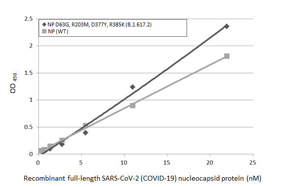 SARS-CoV-2 Nucleocapsid Antibody in ELISA (ELISA)