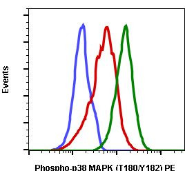 Phospho-p38 MAPK alpha (Thr180, Tyr182) Antibody in Flow Cytometry (Flow)