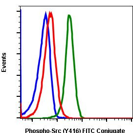 Phospho-Src (Tyr416) Antibody in Flow Cytometry (Flow)
