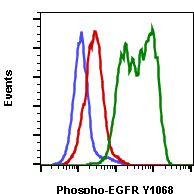 Phospho-EGFR (Tyr1068) Antibody in Flow Cytometry (Flow)