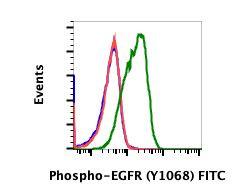 Phospho-EGFR (Tyr1068) Antibody in Flow Cytometry (Flow)