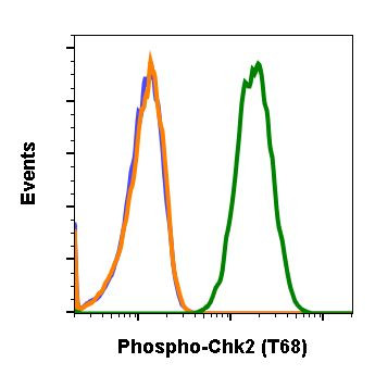 Phospho-Chk2 (Thr68) Antibody in Flow Cytometry (Flow)