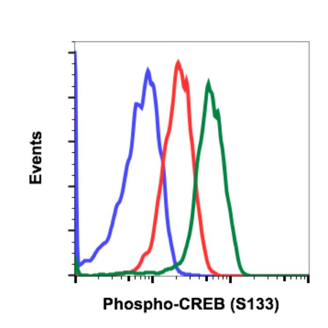 Phospho-CREB (Ser133) Antibody in Flow Cytometry (Flow)