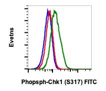 Phospho-Chk1 (Ser317) Antibody in Flow Cytometry (Flow)