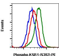 Phospho-KSR1 (Ser392) Antibody in Flow Cytometry (Flow)