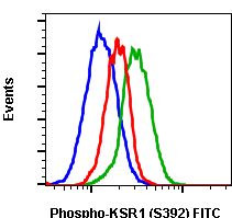 Phospho-KSR1 (Ser392) Antibody in Flow Cytometry (Flow)