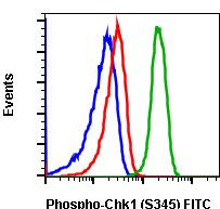 Phospho-Chk1 (Ser345) Antibody in Flow Cytometry (Flow)