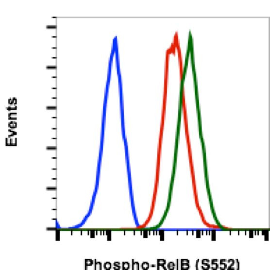 Phospho-RelB (Ser552) Antibody in Flow Cytometry (Flow)