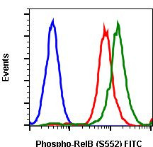 Phospho-RelB (Ser552) Antibody in Flow Cytometry (Flow)