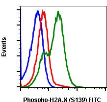 Phospho-Histone H2A.X (Ser139) Antibody in Flow Cytometry (Flow)