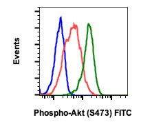Phospho-Akt1 (Ser473) Antibody in Flow Cytometry (Flow)