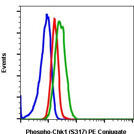 Phospho-Chk1 (Ser317) Antibody in Flow Cytometry (Flow)