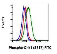 Phospho-Chk1 (Ser317) Antibody in Flow Cytometry (Flow)