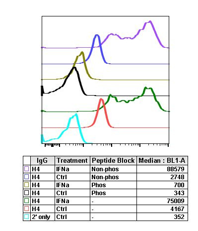 Phospho-BLNK (Tyr84) Antibody in Flow Cytometry (Flow)