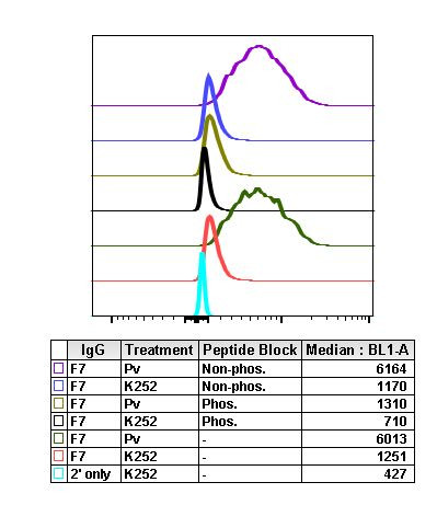 Phospho-PDPK1 (Ser241) Antibody in Flow Cytometry (Flow)