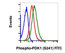Phospho-PDPK1 (Ser241) Antibody in Flow Cytometry (Flow)