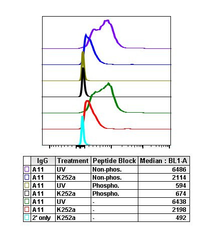 Phospho-MAPK9 (Thr183, Tyr185) Antibody in Flow Cytometry (Flow)