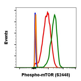 Phospho-mTOR (Ser2448) Antibody in Flow Cytometry (Flow)