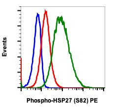 Phospho-HSP27 (Ser82) Antibody in Flow Cytometry (Flow)