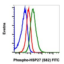 Phospho-HSP27 (Ser82) Antibody in Flow Cytometry (Flow)