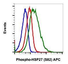 Phospho-HSP27 (Ser82) Antibody in Flow Cytometry (Flow)