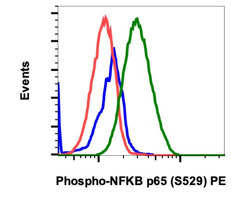 Phospho-NFkB p65 (Ser529) Antibody in Flow Cytometry (Flow)