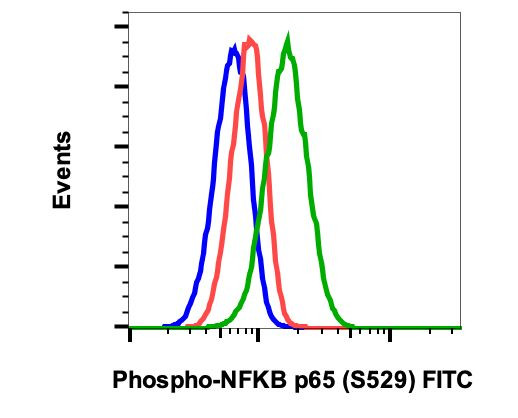 Phospho-NFkB p65 (Ser529) Antibody in Flow Cytometry (Flow)