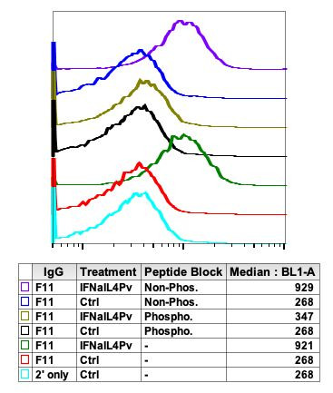 Phospho-Jak1 (Tyr1034, Tyr1035) Antibody in Flow Cytometry (Flow)