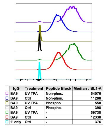 Phospho-c-Fos (Ser32) Antibody in Flow Cytometry (Flow)