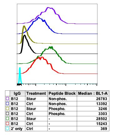 Phospho-MCM2 (Ser139) Antibody in Flow Cytometry (Flow)