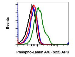 Phospho-Lamin A/C (Ser22) Antibody in Flow Cytometry (Flow)