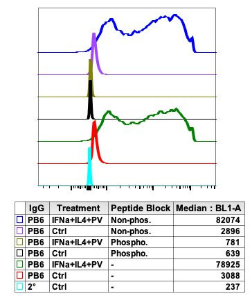 Phospho-Jak2 (Tyr1007, Tyr1008) Antibody in Flow Cytometry (Flow)