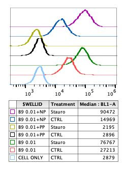 Phospho-NFKB p65 (Ser468) Antibody in Flow Cytometry (Flow)