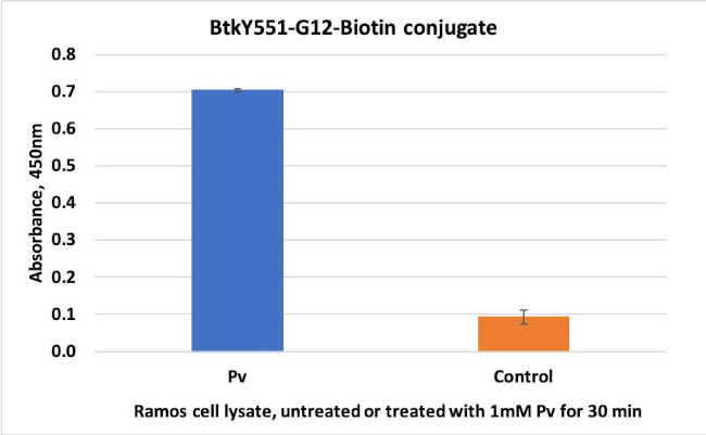 Phospho-Btk (Tyr551) Antibody in ELISA (ELISA)