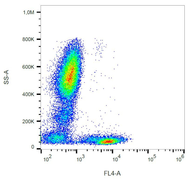 CD5 Antibody in Flow Cytometry (Flow)