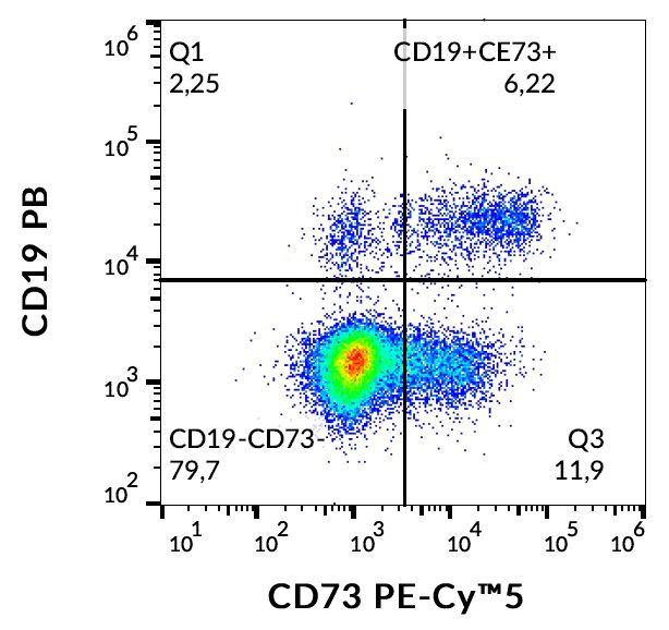 CD73 Antibody in Flow Cytometry (Flow)