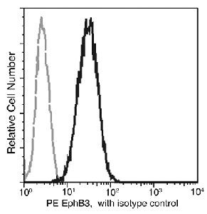 EphB3 Antibody in Flow Cytometry (Flow)