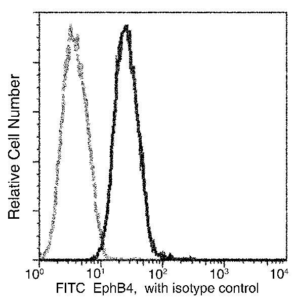 EphB4 Antibody in Flow Cytometry (Flow)