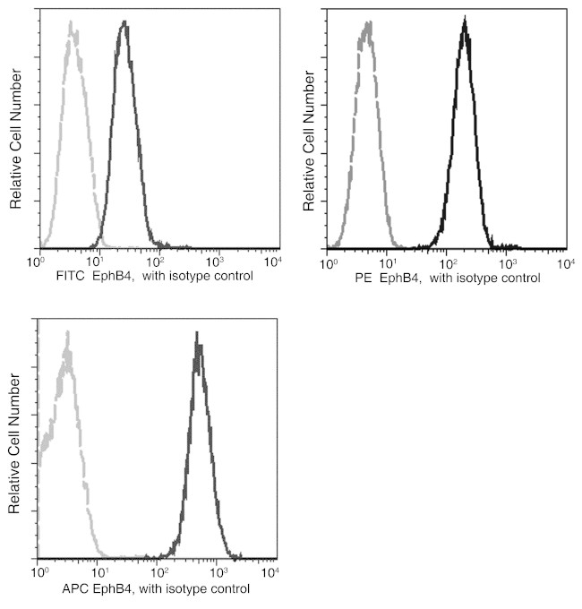 EphB4 Antibody in Flow Cytometry (Flow)