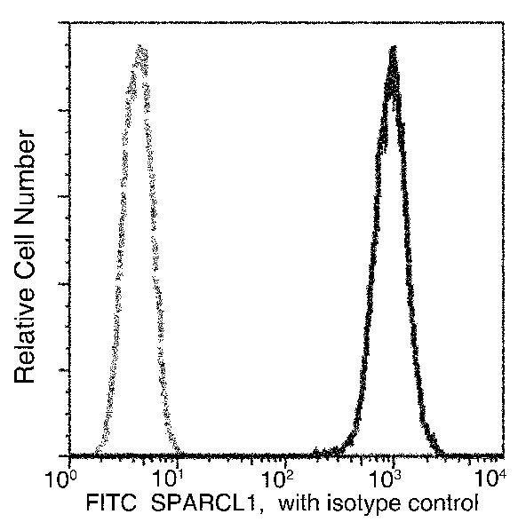 SPARCL1 Antibody in Flow Cytometry (Flow)