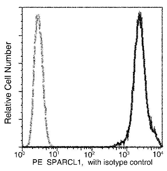 SPARCL1 Antibody in Flow Cytometry (Flow)