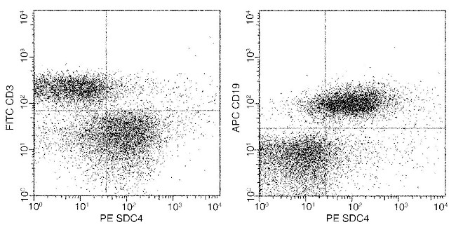 Syndecan 4 Antibody in Flow Cytometry (Flow)