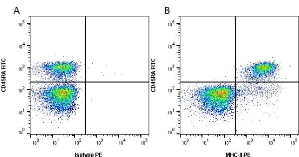 MHC Class II (RT1-B) Antibody in Flow Cytometry (Flow)