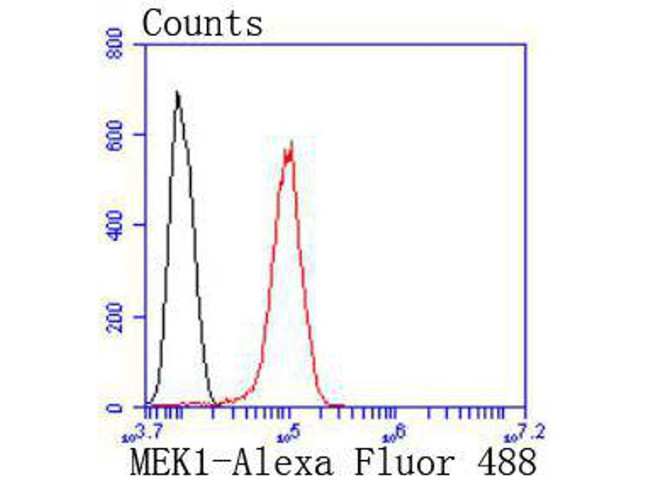MEK1 Antibody in Flow Cytometry (Flow)
