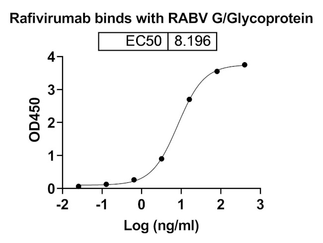 Rafivirumab Humanized Antibody in ELISA (ELISA)