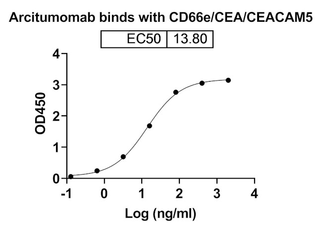 CD66e (CEACAM5) (Arcitumomab Biosimilar) Antibody in ELISA (ELISA)