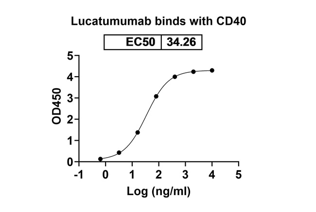 Lucatumumab Antibody in ELISA (ELISA)